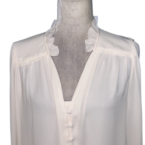 Crosby by Mollie Burch Blush Pink Semi Sheer Ruffle Neck Puff Sleeve Blouse - L - Picture 2 of 11